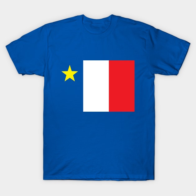 Acadian T-Shirt by gasoline